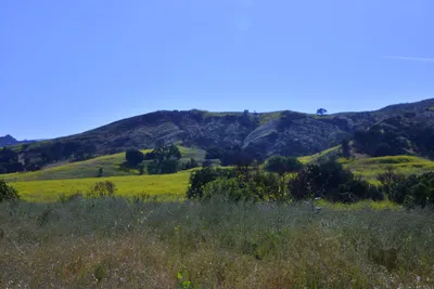 DSC_6119 (Large).JPG